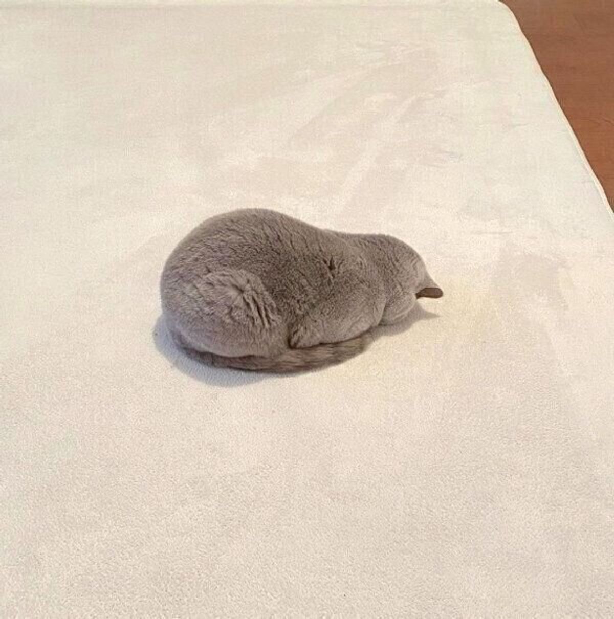 Z6wfk Ifxd9uxm Z6wfk Ifxd9uxm