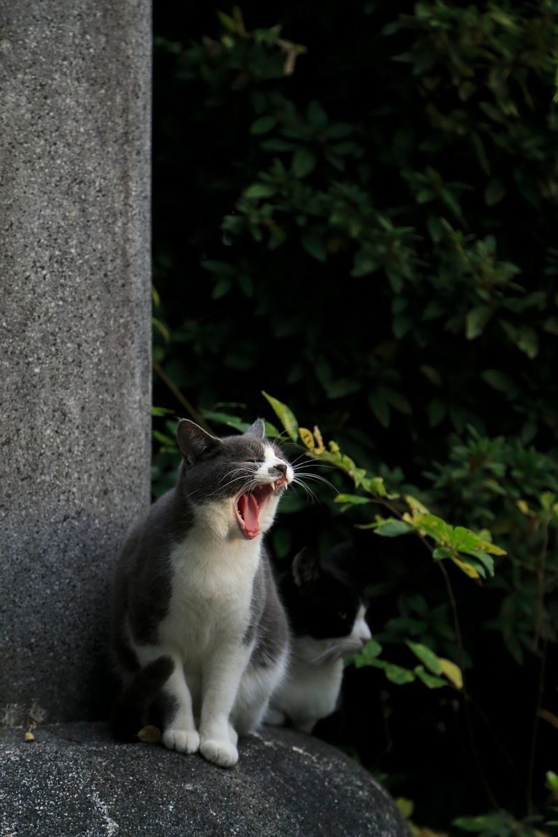 撮影／小森正孝