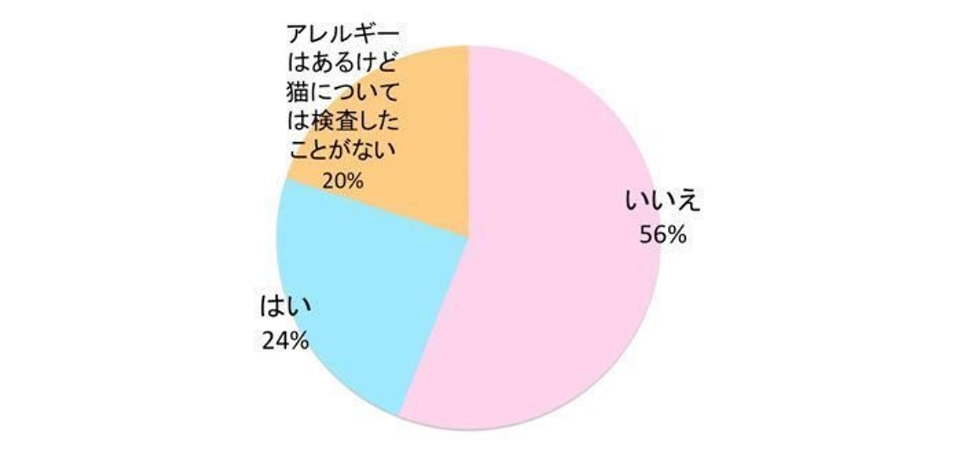 1 412名に調査 猫アレルギーで猫を飼っている人の割合は ねこのきもちweb Magazine