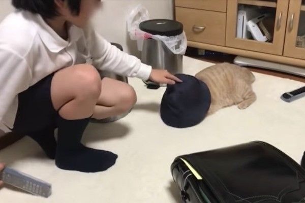 帽子大好きニャンコ