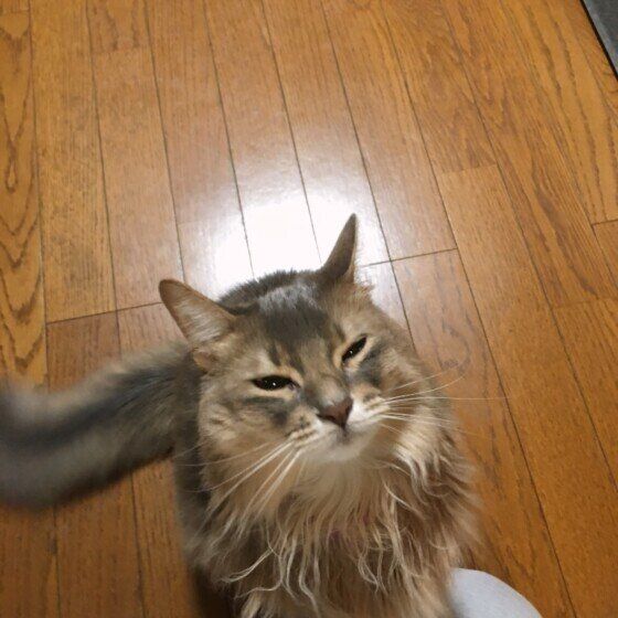 モナ  ソマリ  目を細めて