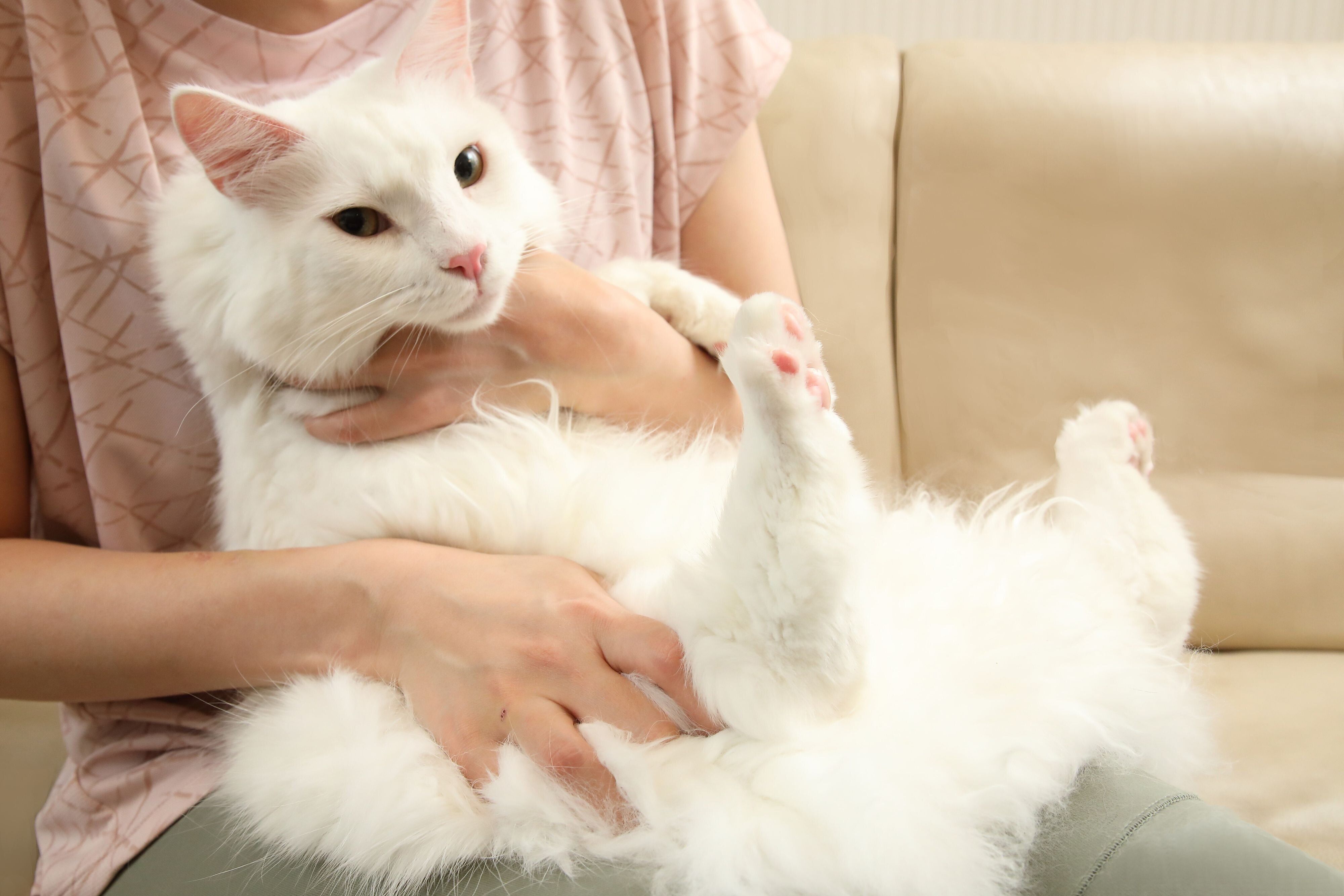 撮影／尾﨑たまき