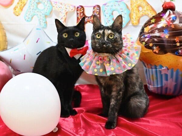 誕生日記念で仲良く2ショット