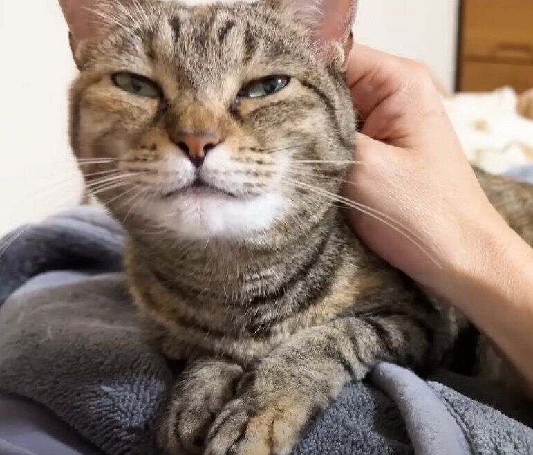 お父さんに甘えるリムちゃん