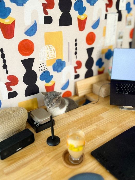 机にある配線用の穴に入り、居座り続けるメグちゃん