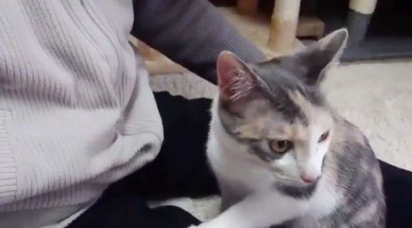 おやつを探すゆずちゃん