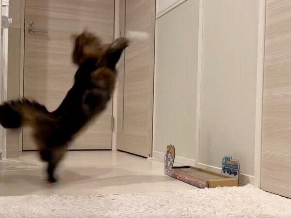 「白玉」にアタックするアーサーくん