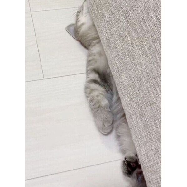 電池切れするひまりちゃん