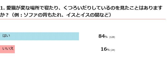 愛猫が変な場所でくつろぐことはある？