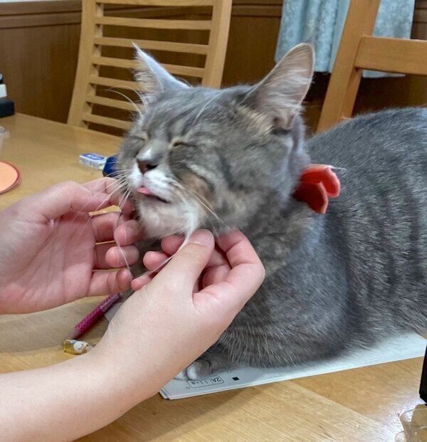 気持ちよさそうな顔をするラムちゃん