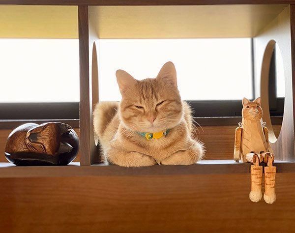 くつろぐ金柑ちゃん