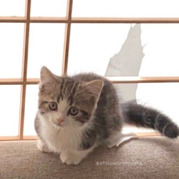 初イタズラをしたときのひなたくん
