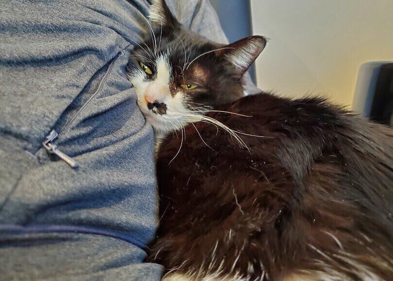 パパさんにべったりなちくわちゃん