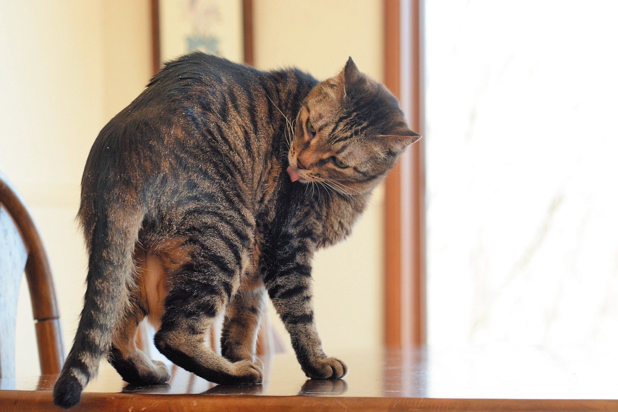 撮影／栗林　愛