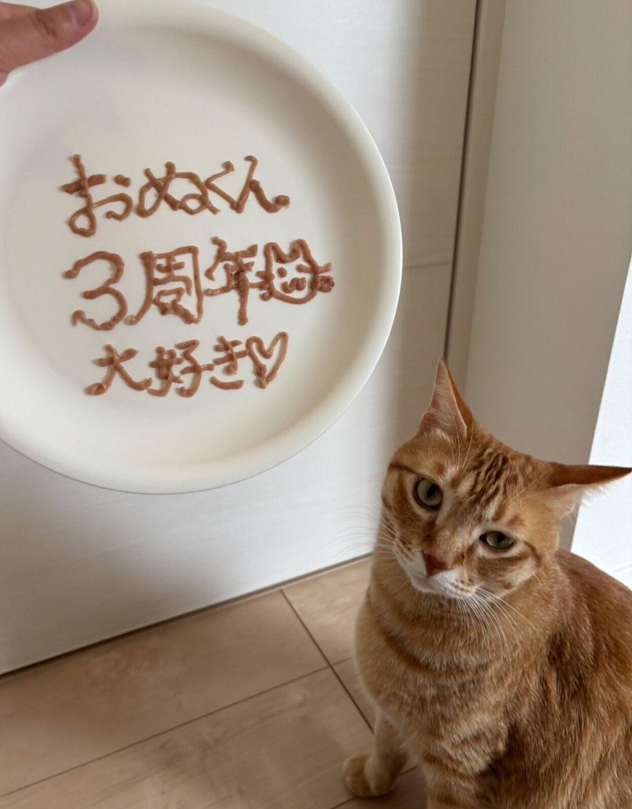 3回目の「うちのコ記念日」の様子