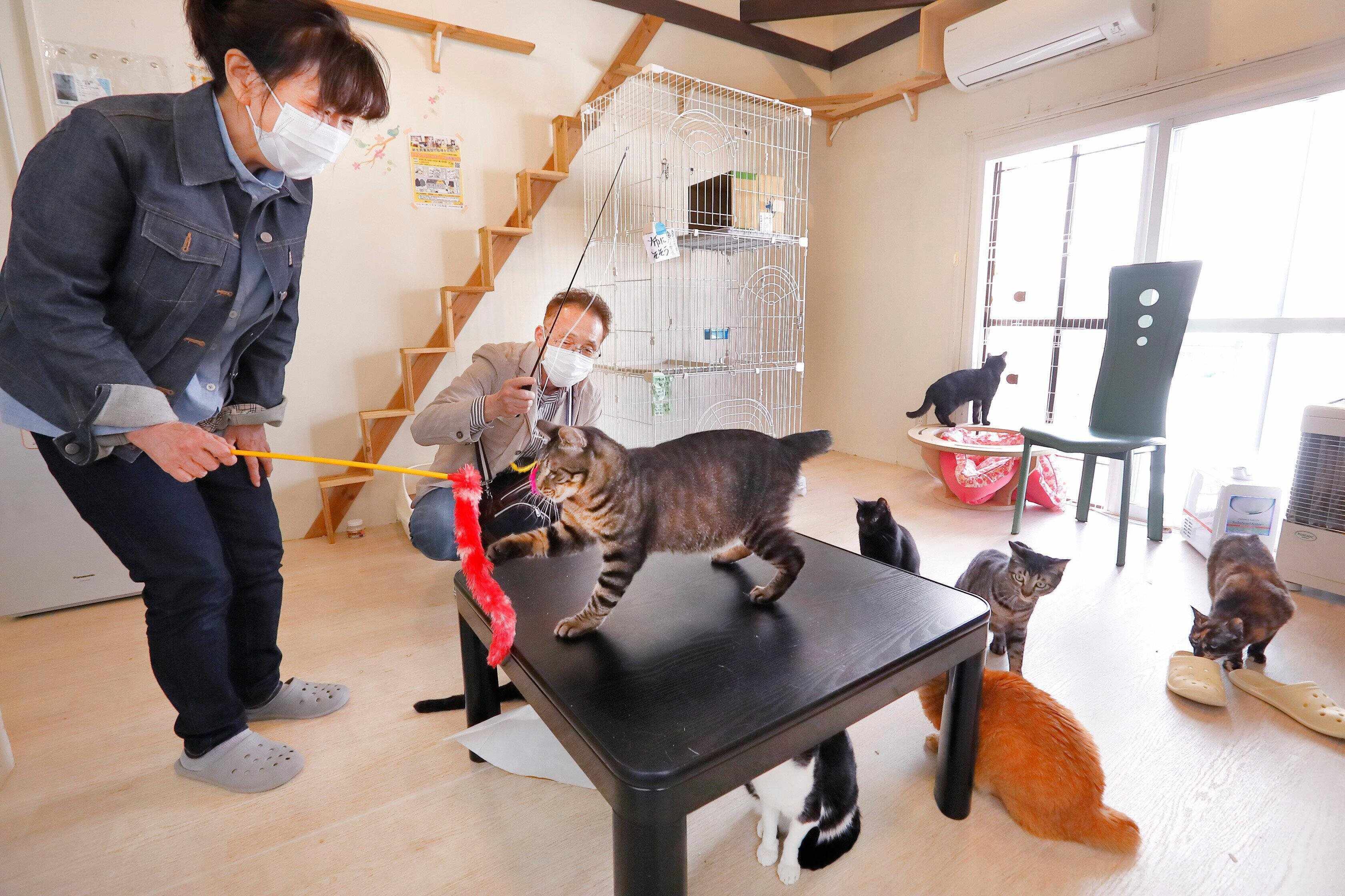 撮影／後藤さくら