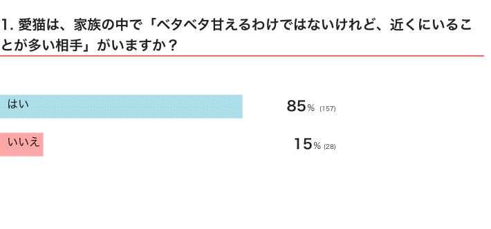 甘えるほどではないけれど近くにいる相手がいるかアンケート結果