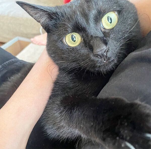 抱っこされるモナちゃん