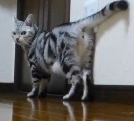 追いかけたくなるツンツン中の亜芽ちゃん