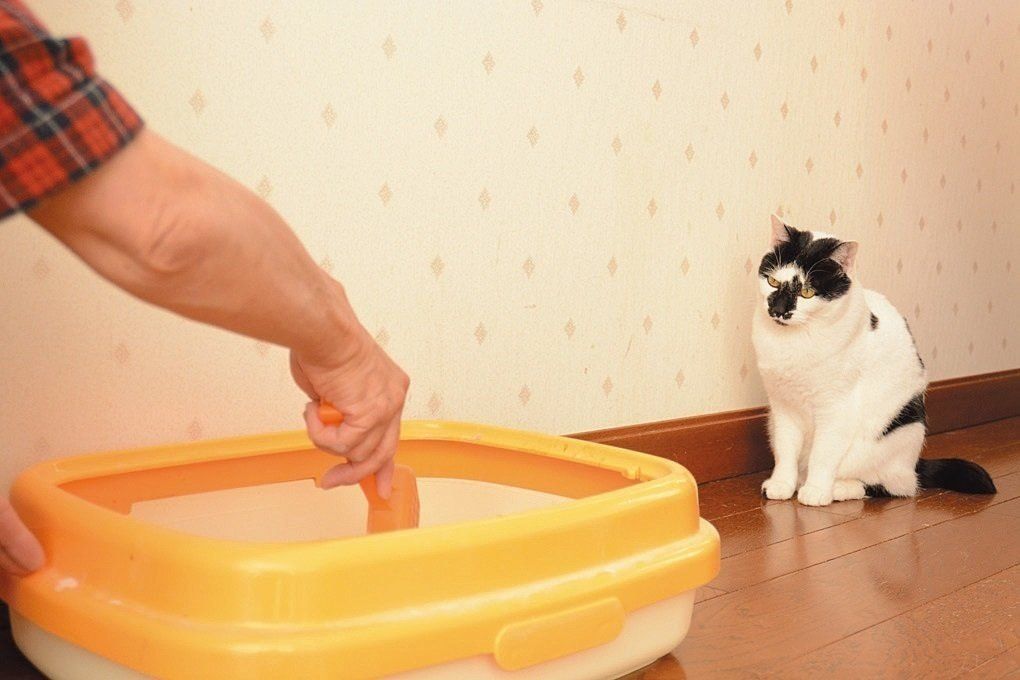 撮影／栗林　愛