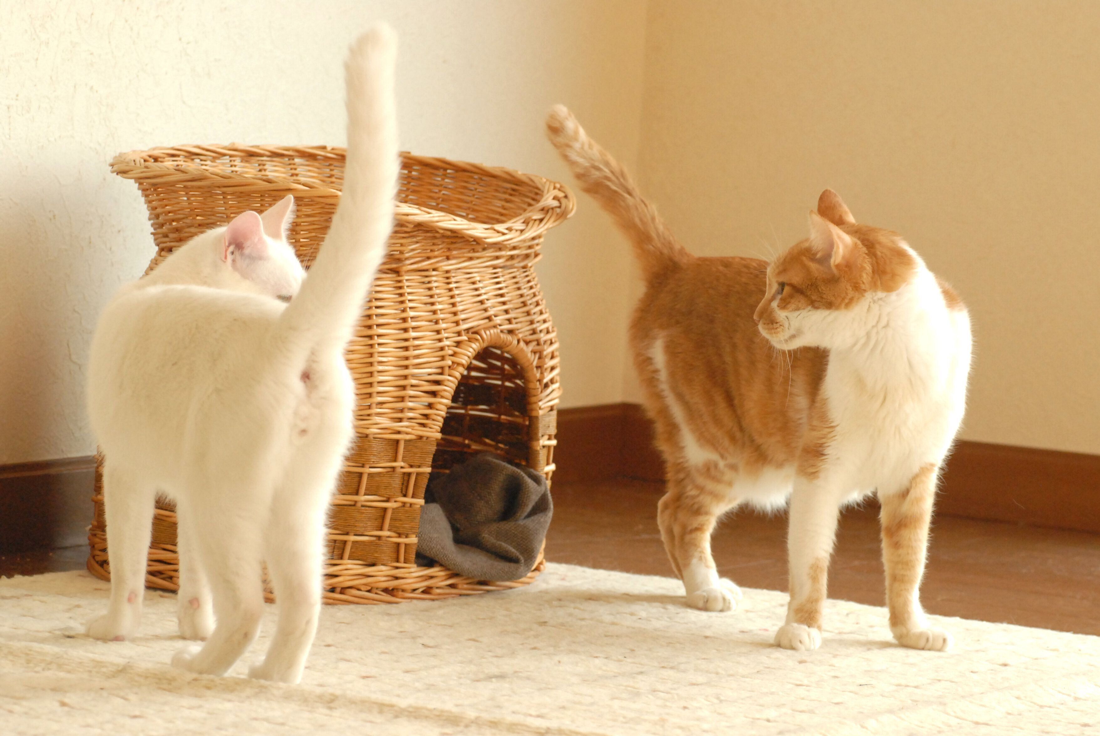 撮影／栗林　愛