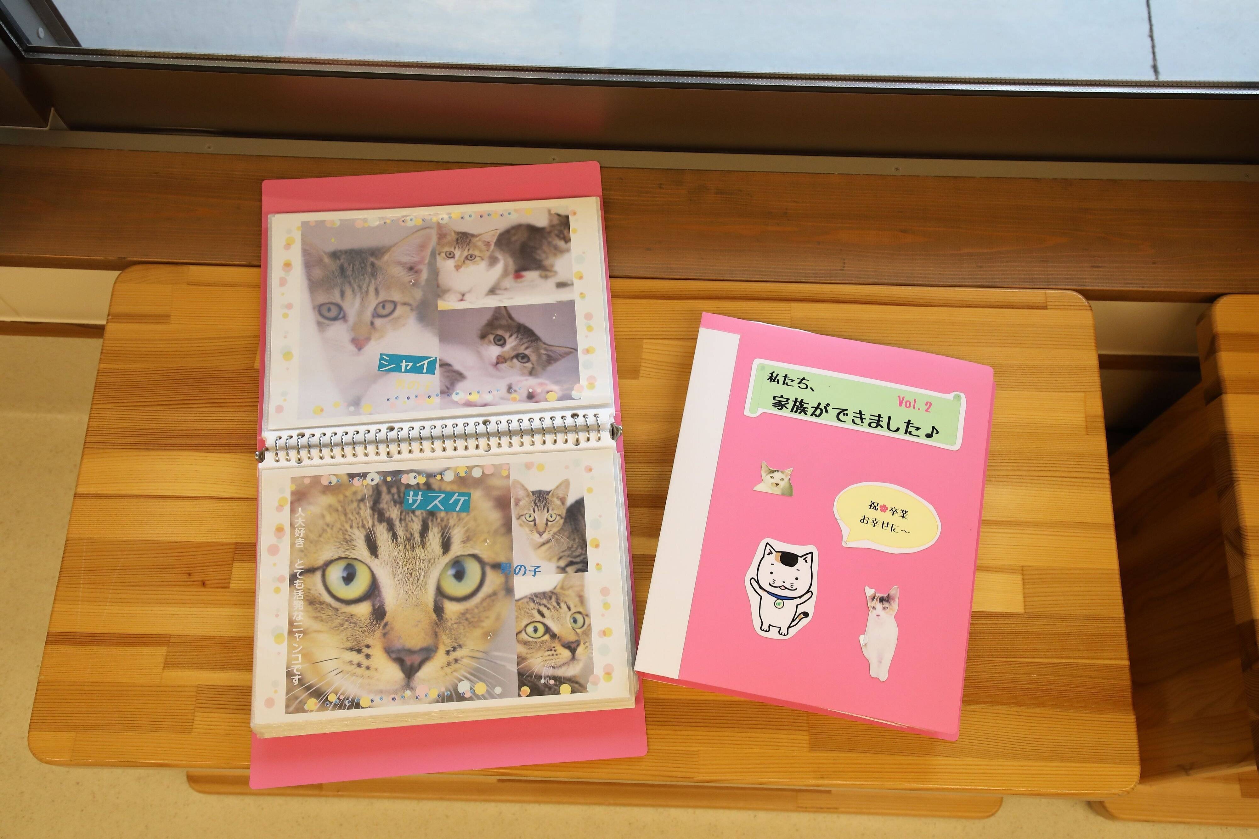 撮影／尾﨑たまき