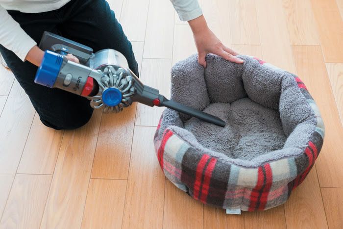 猫ベッドを掃除機で吸う
