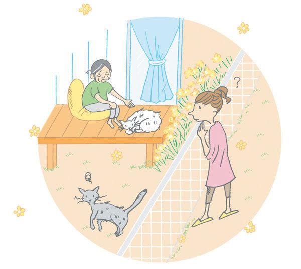 イラスト／イデシタタケシ、小泉さよ、ナカオテッペイ、二階堂ひとみ