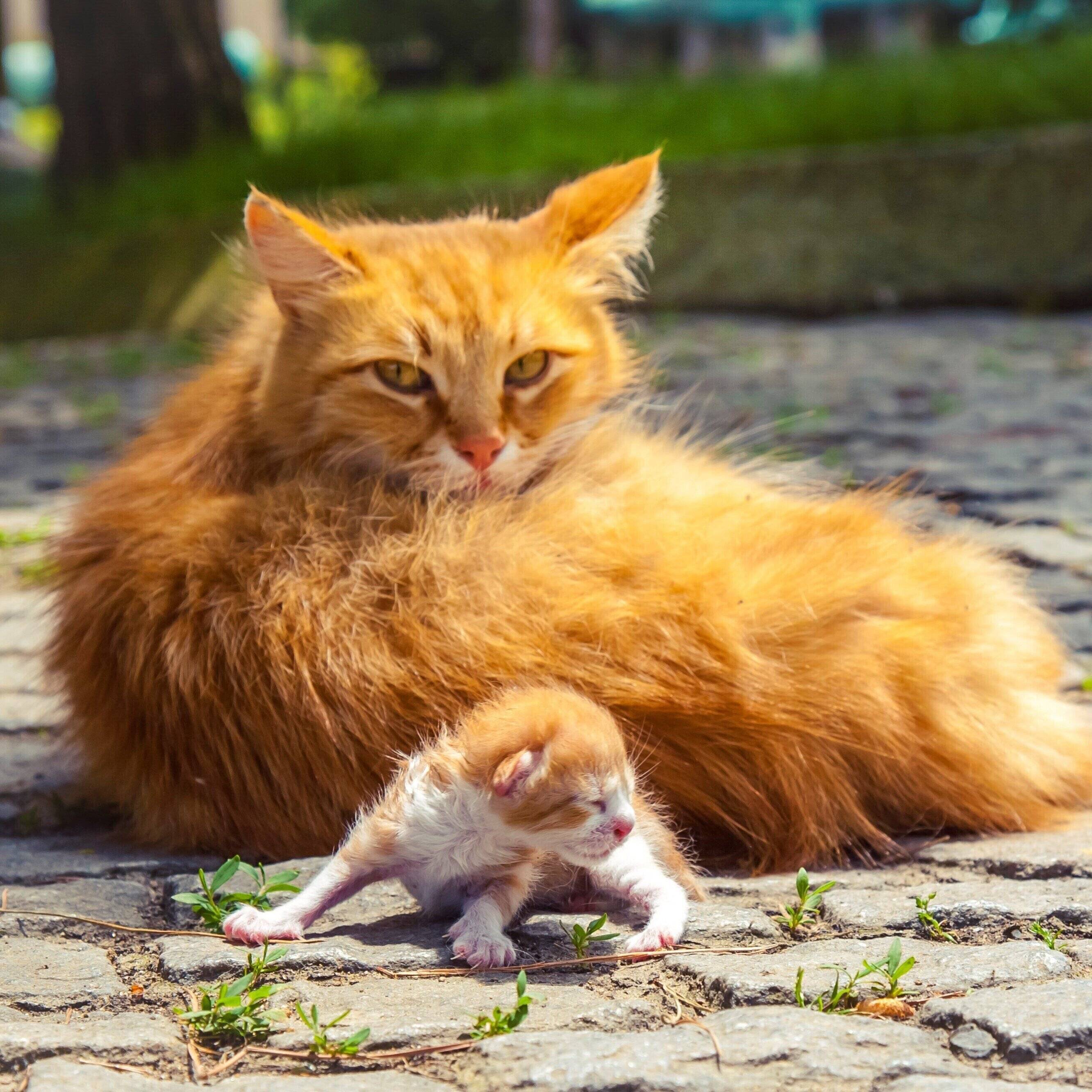 画像／iStock、Getty Images Plus