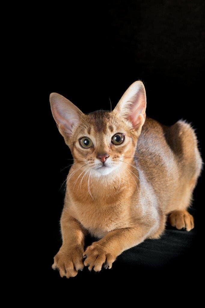 撮影／石原さくら