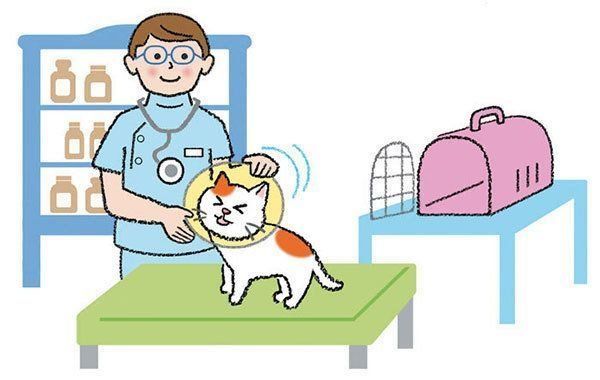 急性ストレスの引き金