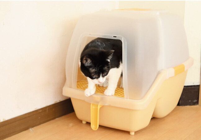 撮影／尾﨑たまき