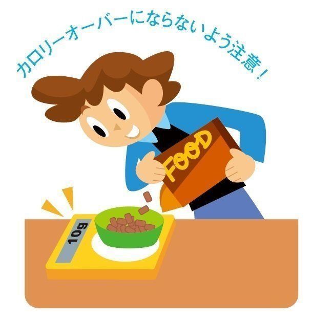 イラスト／石川日向