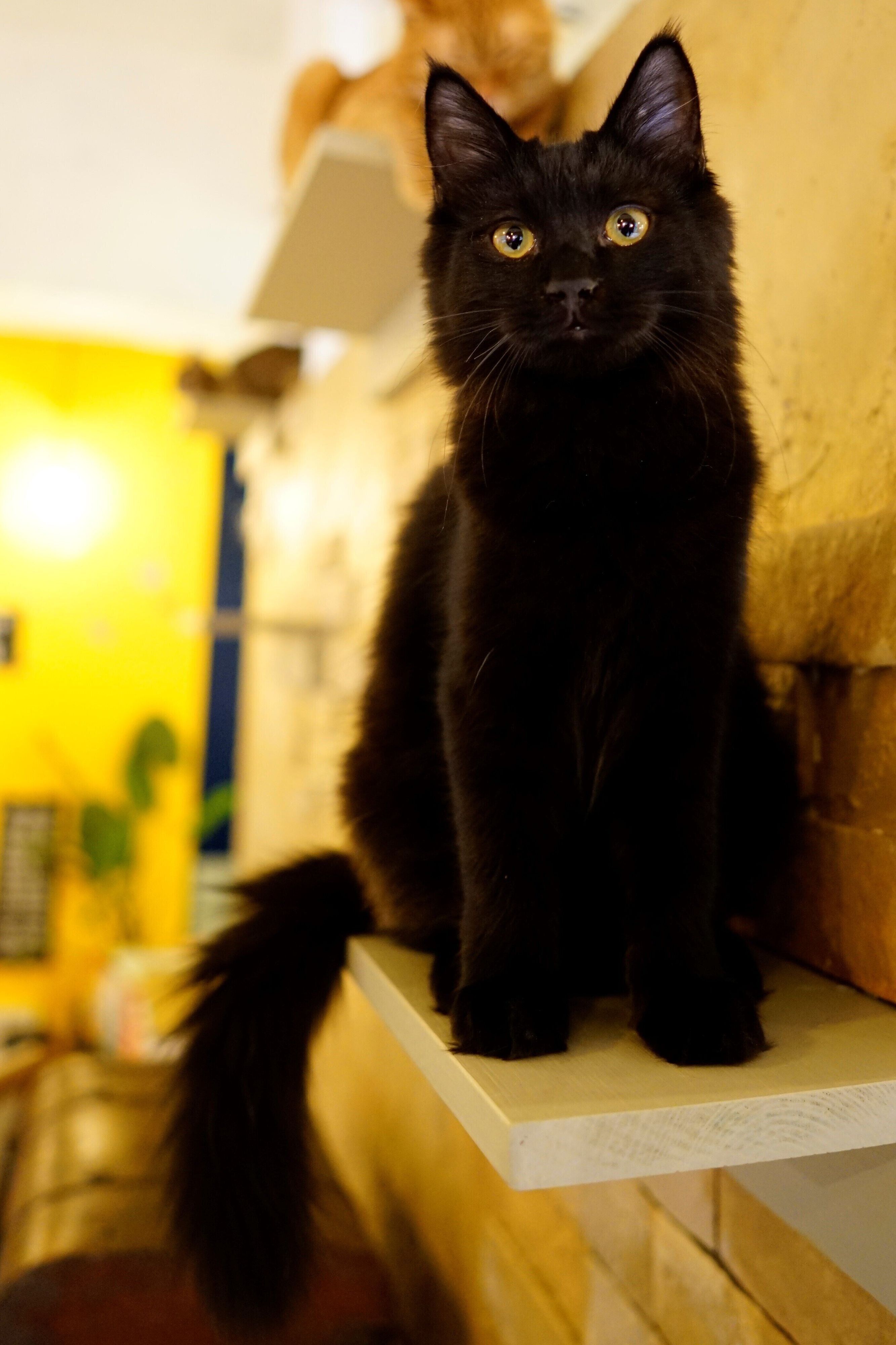 撮影／石原さくら