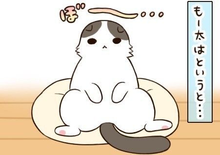 「もふもふスコたん」サムネイル