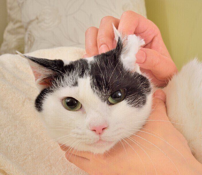 撮影／佐藤正之