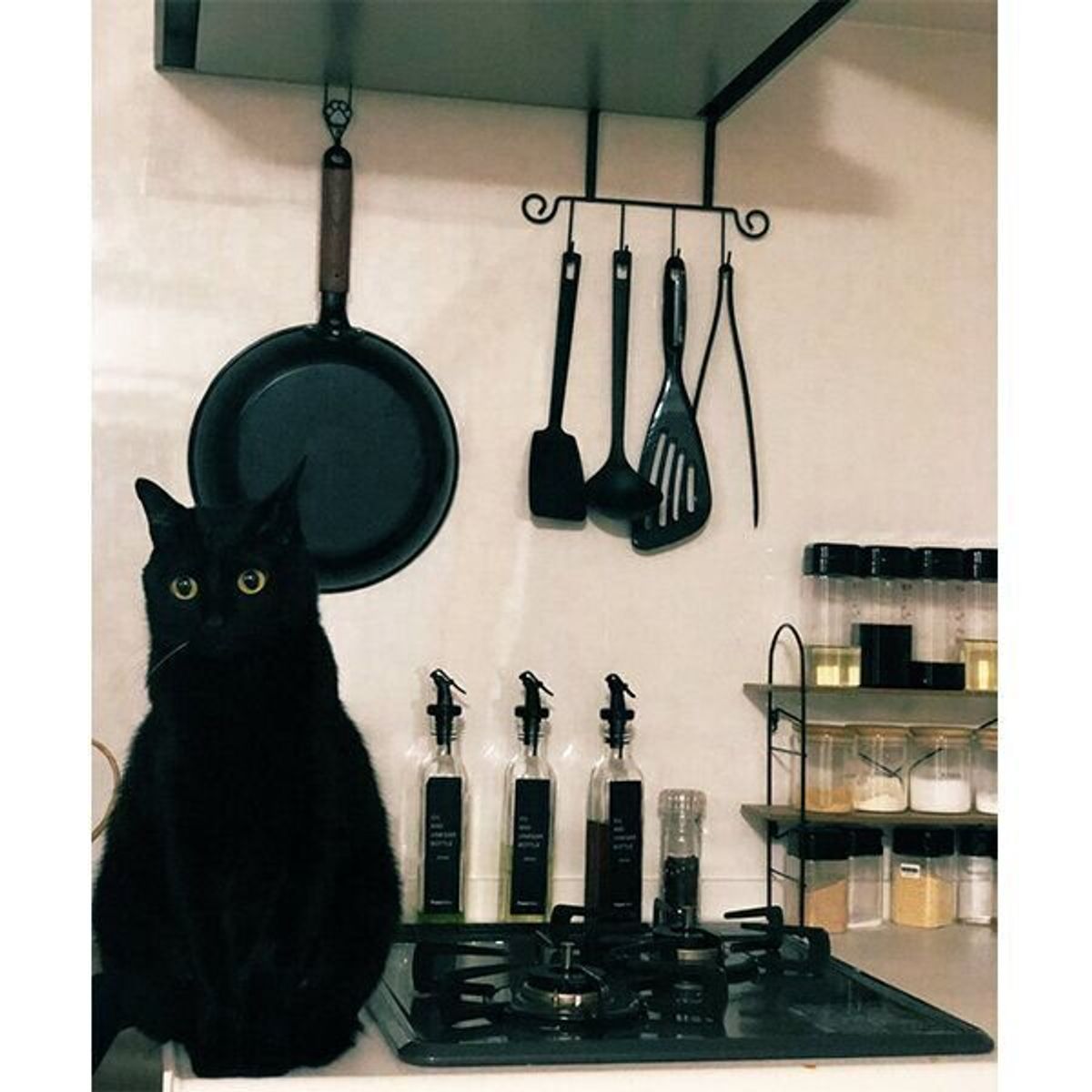 青い瞳が美しい保護子猫 成長して目の色が激変 神秘的な魅力を持つ黒猫の あるある話 を飼い主に聞いた ねこのきもちweb Magazine 青い瞳が美しい保護子猫 成長して目の色が激変 神秘的な魅力を持つ黒猫の あるある話 を飼い主に聞いた ねこのきもちweb Magazine