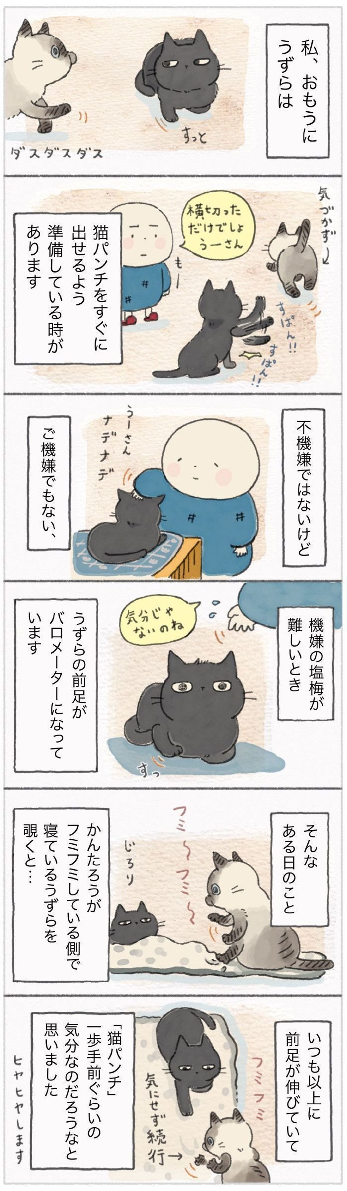 猫がこだわるパーソナルスペース 距離感を間違えると高速パンチが ねこ連れ草 109話め ねこのきもちweb Magazine 猫がこだわるパーソナルスペース 距離感を間違えると高速パンチが ねこ連れ草 109話め ねこのきもちweb Magazine