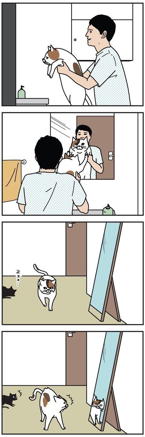 男の猫道 38話目