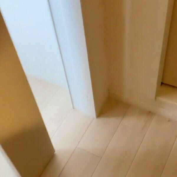 ドアを開ける飼い主さん