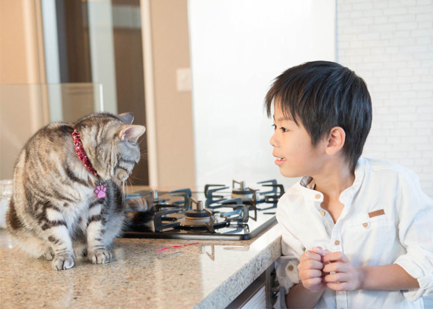 Pr 猫と子供がほどよい距離感で暮らせる家 猫と暮らすおうち訪問vol 1 ねこのきもちweb Magazine Pr 猫と子供がほどよい距離感で暮らせる家 猫と暮らすおうち訪問vol 1 ねこのきもちweb Magazine