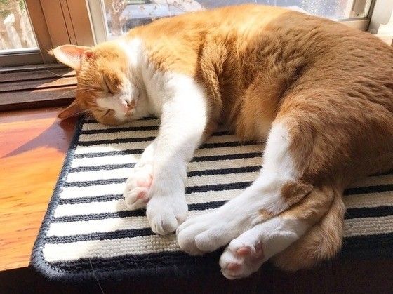  僕だけの特等席