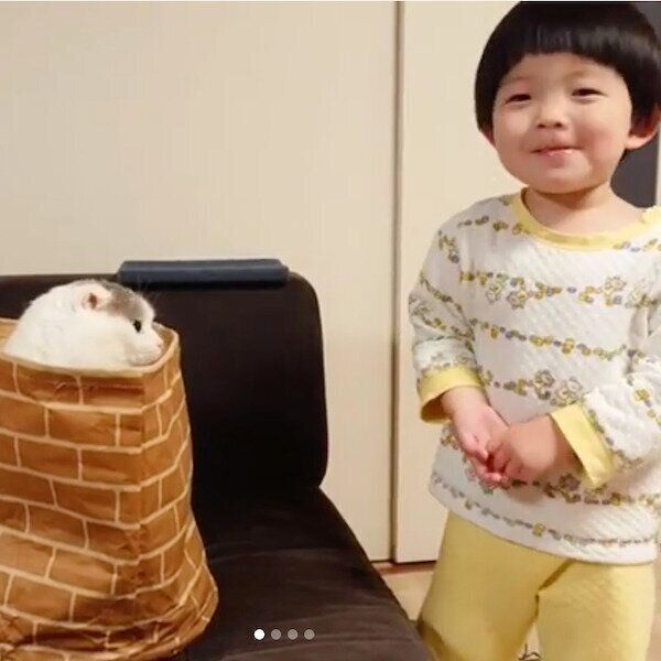 袋に入るライくんと笑顔の次男くん