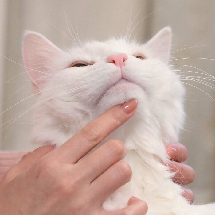 まずは指先でタッチ