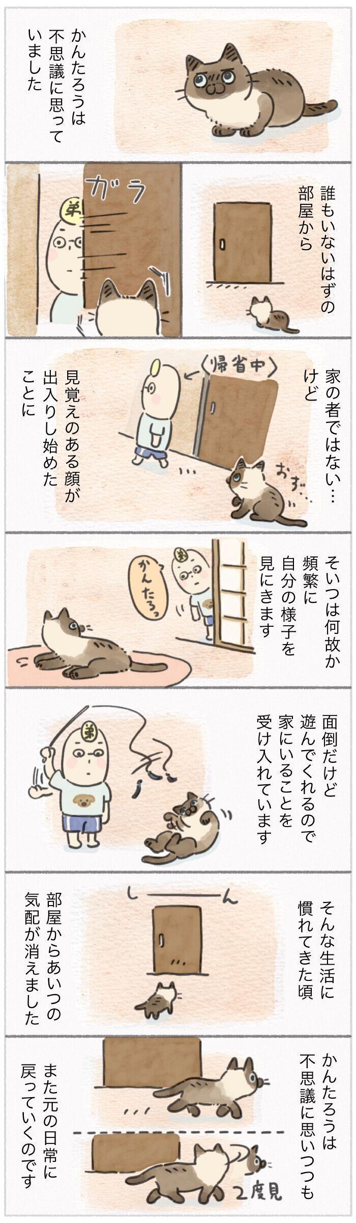「ねこ連れ草」340話め
