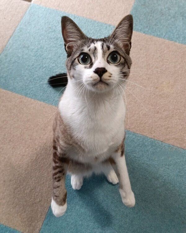 寝起きでも目がぱっちりな柱太郎くん