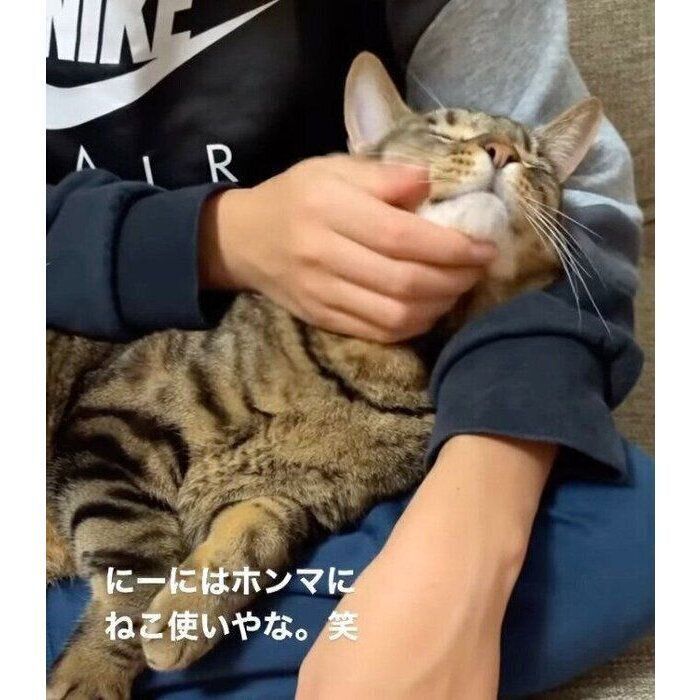 長男になでてもらうソルくん