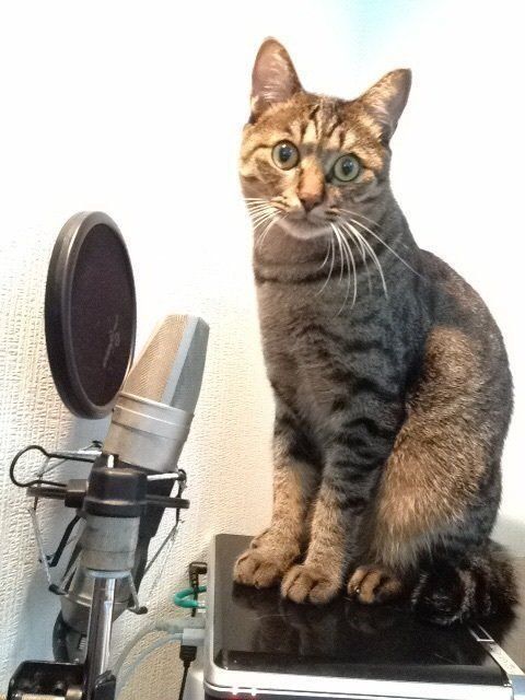 写真提供／古坂大魔王さん