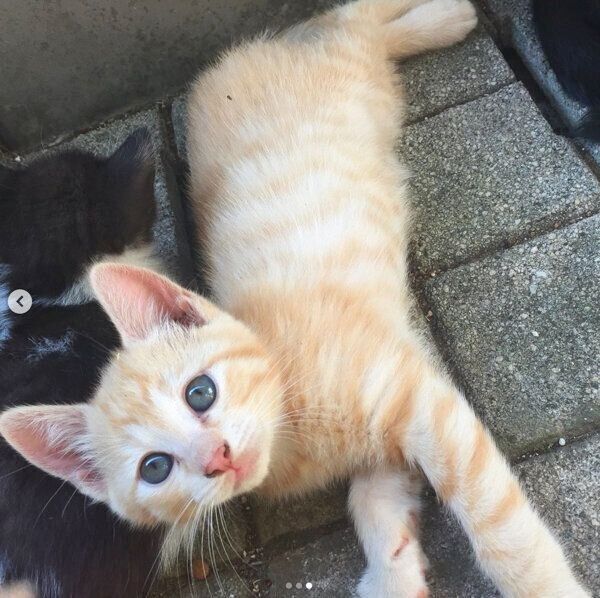 初めて会ったときのもいわちゃん