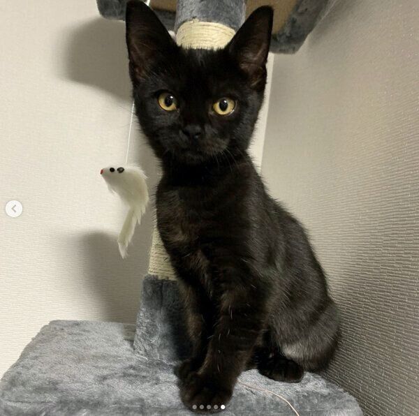 見つめる空ちゃん